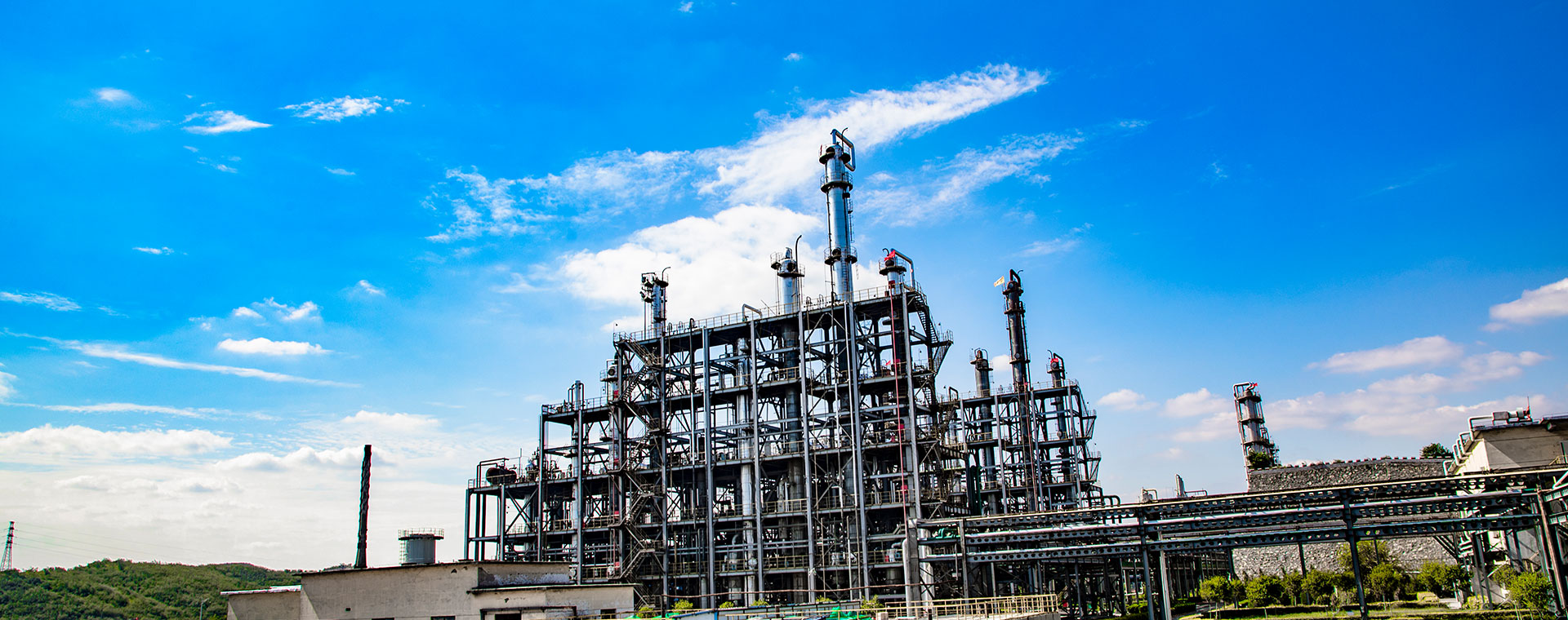 美丽美狮贵宾会