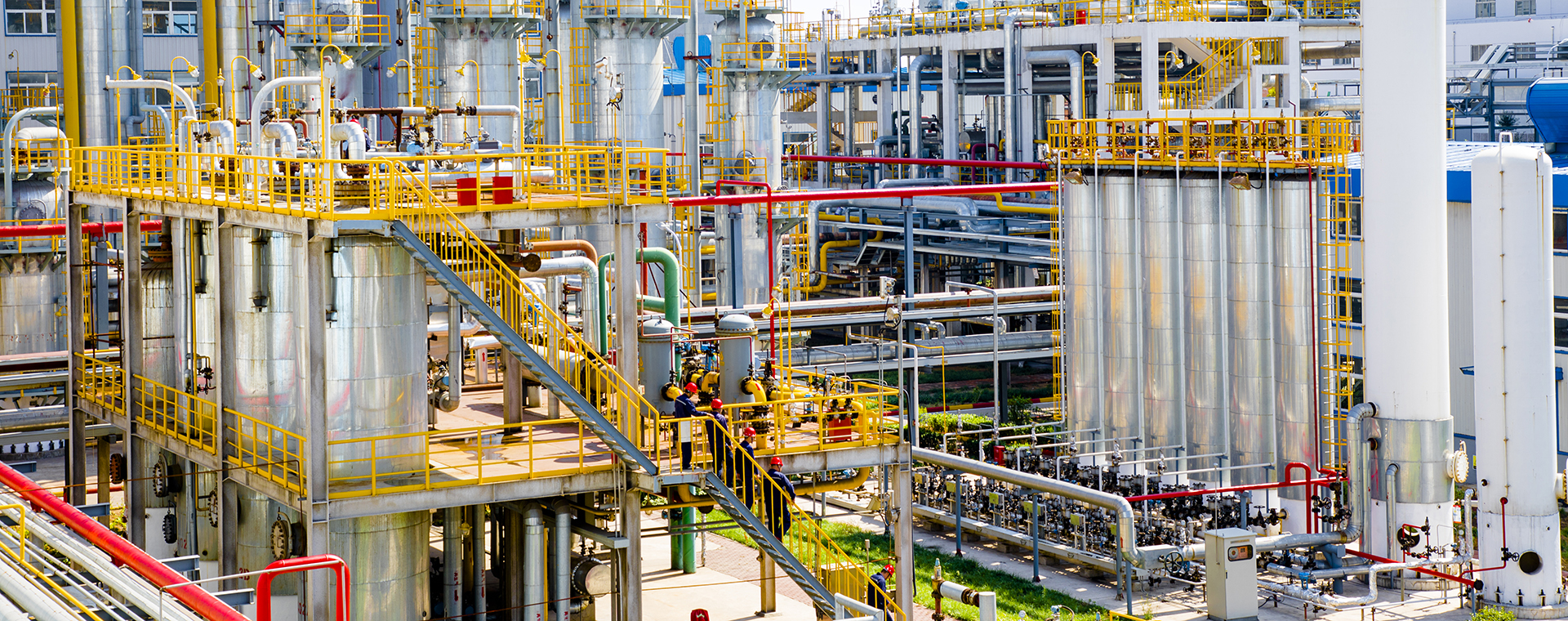 美丽美狮贵宾会