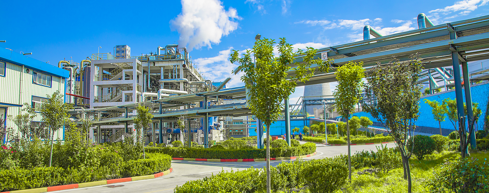 美丽美狮贵宾会