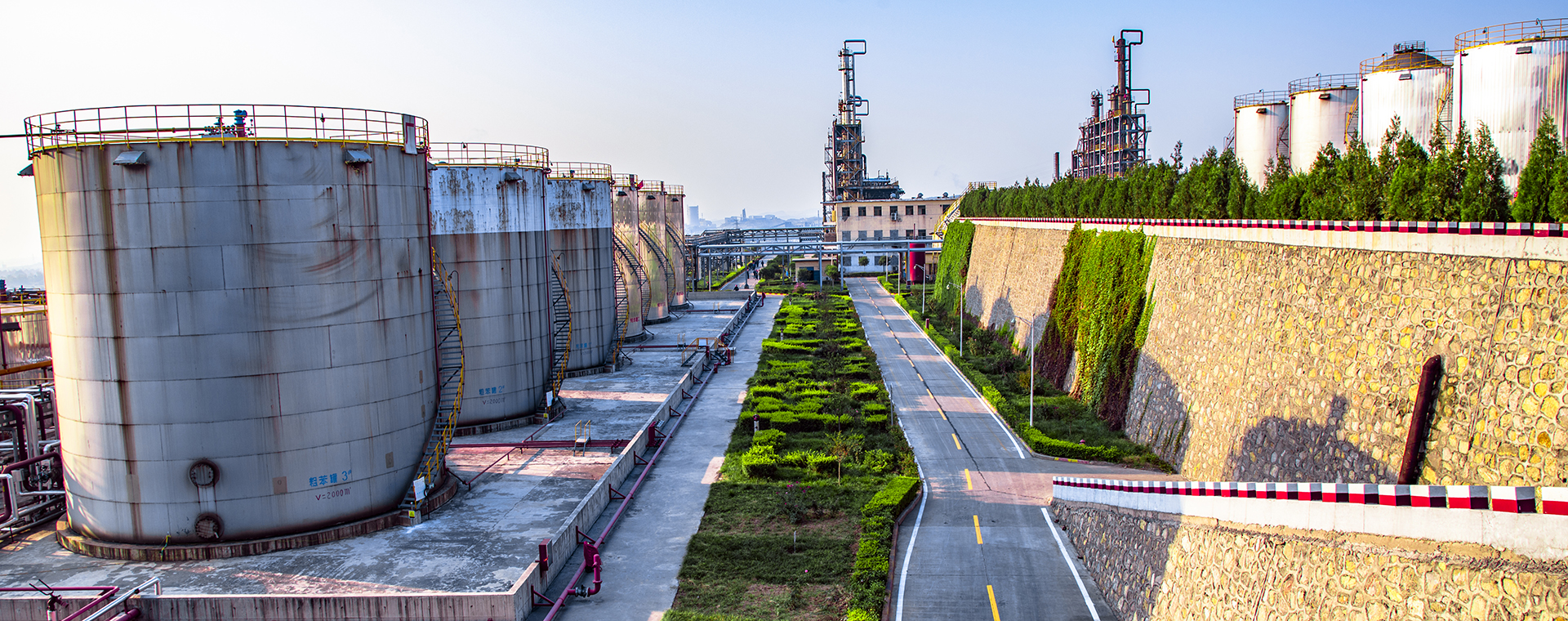 美丽美狮贵宾会